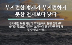 속담: 부지런한 범재가 부지런하지 못한 천재보다 낫다