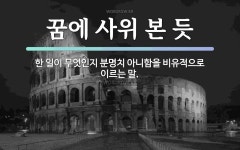 속담: 꿈에 사위 본 듯