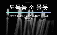 속담: 도둑놈 소 몰듯