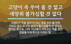 속담: 고양이 죽 쑤어 줄 것 없고 새앙쥐 볼가심할 것 없다