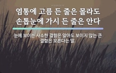 속담: 염통에 고름 든 줄은 몰라도 손톱눈에 가시 든 줄은 안다