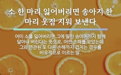 속담: 소 한 마리 잃어버리면 송아지 한 마리 웃짐 지워 보낸다