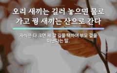 길에 관한 명언