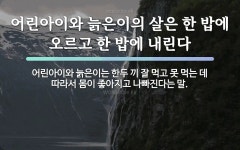 속담: 어린아이와 늙은이의 살은 한 밥에 오르고 한 밥에 내린다