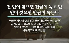 속담: 천 인이 찢으면 천금이 녹고 만 인이 찢으면 만금이 녹는다