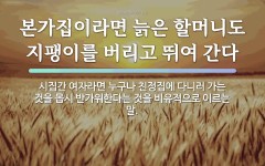 속담: 본가집이라면 늙은 할머니도 지팽이를 버리고 뛰여 간다