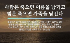 속담: 사람은 죽으면 이름을 남기고 범은 죽으면 가죽을 남긴다
