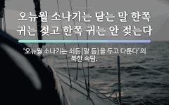 속담: 오뉴월 소나기는 닫는 말 한쪽 귀는 젖고 한쪽 귀는 안 젖는다