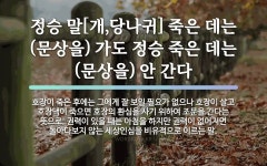 속담: 정승 말[개,당나귀] 죽은 데는 (문상을) 가도 정승 죽은 데는 (문상을) 안 간다