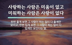 속담: 사랑하는 사람은 미움이 없고 미워하는 사람은 사랑이 없다