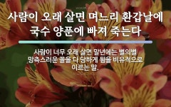 속담: 사람이 오래 살면 며느리 환갑날에 국수 양푼에 빠져 죽는다