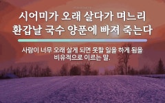 속담: 시어미가 오래 살다가 며느리 환갑날 국수 양푼에 빠져 죽는다