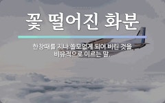 속담: 꽃 떨어진 화분