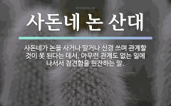 속담: 사돈네 논 산대