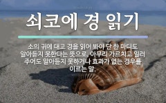 속담: 쇠코에 경 읽기