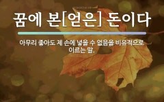 속담: 꿈에 본[얻은] 돈이다