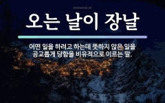 속담: 오는 날이 장날