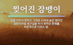 속담: 찢어진 잠뱅이