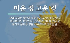 속담: 미운 정 고운 정