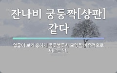 속담: 잔나비 궁둥짝[상판] 같다
