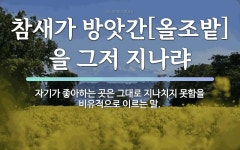 속담: 참새가 방앗간[올조밭]을 그저 지나랴