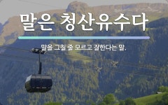 속담: 말은 청산유수다