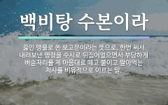 명령에 관한 명언