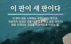 이새남악점 | 속담: 이 판이 새 판이다