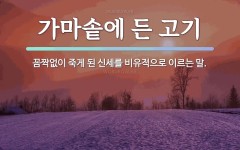 속담: 가마솥에 든 고기