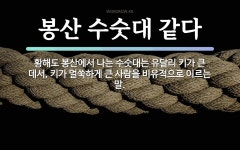 속담: 봉산 수숫대 같다