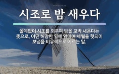 밤에 관한 명언
