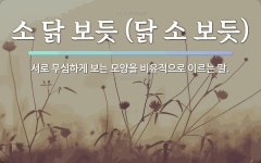 속담: 소 닭 보듯 (닭 소 보듯)