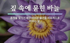 속담: 짚 속에 묻힌 바늘