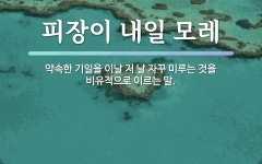 속담: 피장이 내일 모레
