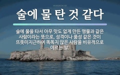 속담: 술에 물 탄 것 같다