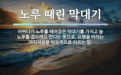 속담: 노루 때린 막대기