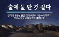 속담: 술에 물 탄 것 같다