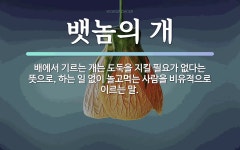 속담: 뱃놈의 개
