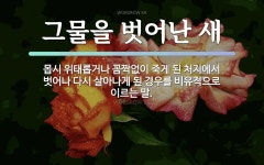 속담: 그물을 벗어난 새