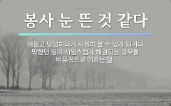 속담: 봉사 눈 뜬 것 같다