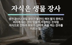 생물에 관한 한자/한자성어/사자성어 8개  생물에 관한 한자/한자성어/사자성어 8개