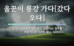 속담: 올꾼이 룡강 가다[갔다 오다]