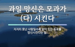 속담: 과일 망신은 모과가 (다) 시킨다