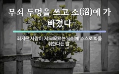 속담: 무쇠 두멍을 쓰고 소(沼)에 가 빠졌다