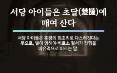속담: 서당 아이들은 초달(楚撻)에 매여 산다