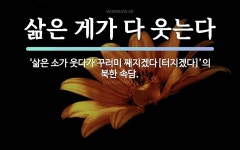 속담: 삶은 게가 다 웃는다