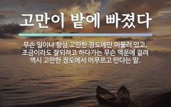 속담: 고만이 밭에 빠졌다