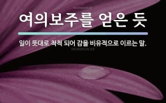 속담: 여의보주를 얻은 듯