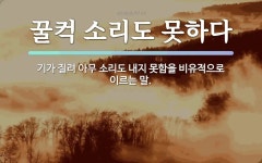 속담: 꿀컥 소리도 못하다
