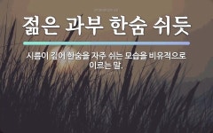 속담: 젊은 과부 한숨 쉬듯